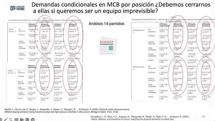 Dinámica del equipo